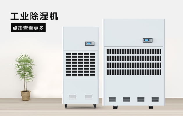 烘干芒果，芒果干更省心