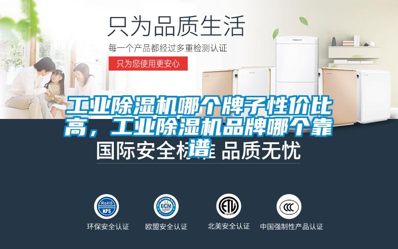 工業(yè)除濕機(jī)哪個牌子性價比高，工業(yè)除濕機(jī)品牌哪個靠譜