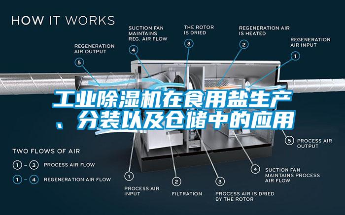 工業(yè)除濕機(jī)在食用鹽生產(chǎn)、分裝以及倉儲(chǔ)中的應(yīng)用