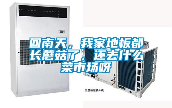 回南天，我家地板都長蘑菇了，還去什么菜市場呀