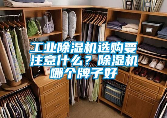工業(yè)除濕機(jī)選購(gòu)要注意什么？除濕機(jī)哪個(gè)牌子好