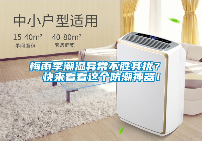 梅雨季潮濕異常不勝其擾？ 快來看看這個防潮神器！