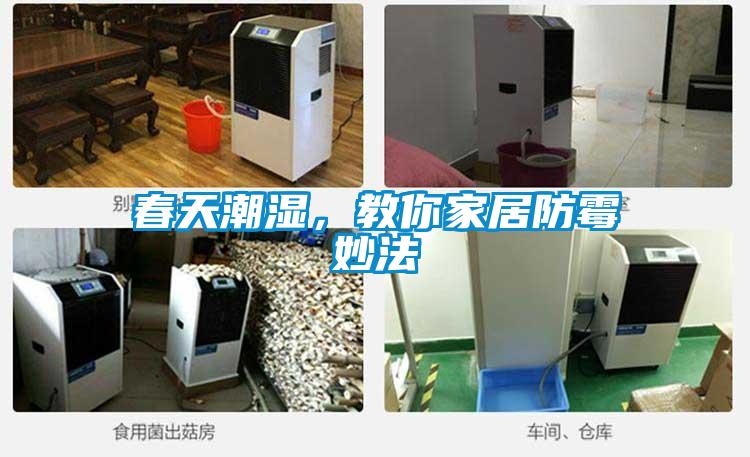 春天潮濕，教你家居防霉妙法