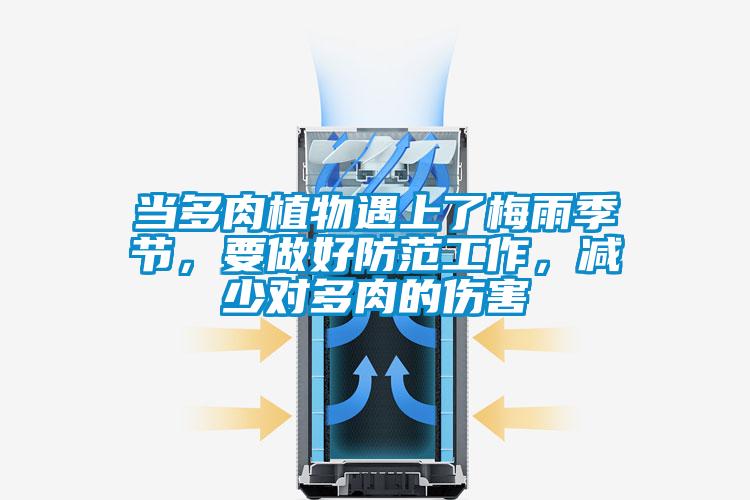 當(dāng)多肉植物遇上了梅雨季節(jié)，要做好防范工作，減少對(duì)多肉的傷害