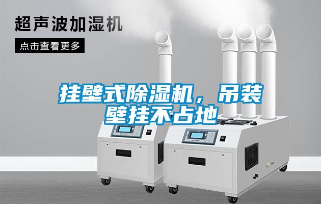 掛壁式除濕機(jī)，吊裝壁掛不占地