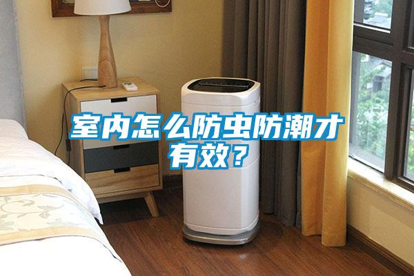 室內(nèi)怎么防蟲防潮才有效？