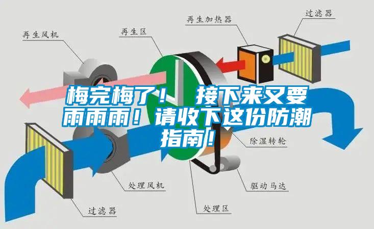 梅完梅了！ 接下來又要雨雨雨！請收下這份防潮指南！