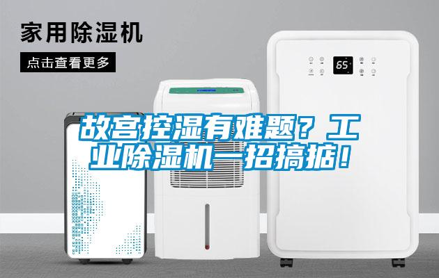 故宮控濕有難題？工業(yè)除濕機(jī)一招搞掂！