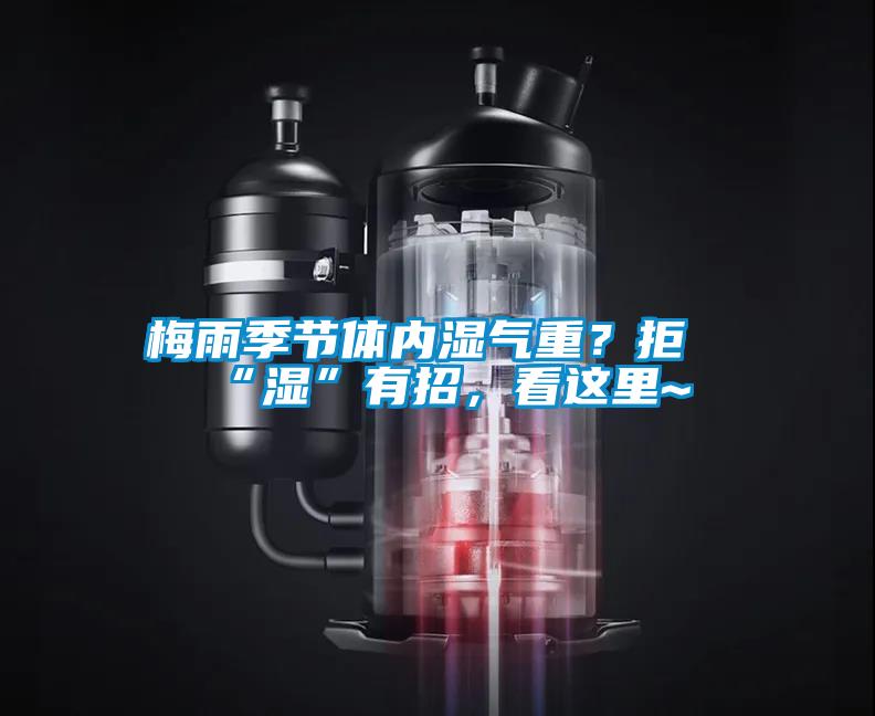 梅雨季節(jié)體內(nèi)濕氣重？拒“濕”有招，看這里~