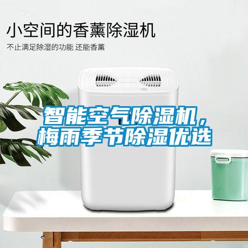 巴西菇、姬松茸烘干機(jī)-怎樣烘干色澤好且菇體褶片完整？