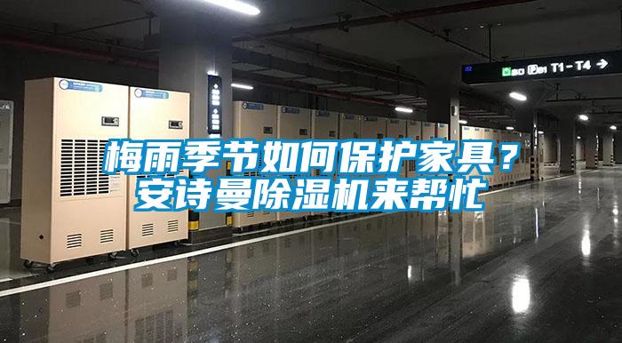 梅雨季節(jié)如何保護(hù)家具？安詩(shī)曼除濕機(jī)來(lái)幫忙