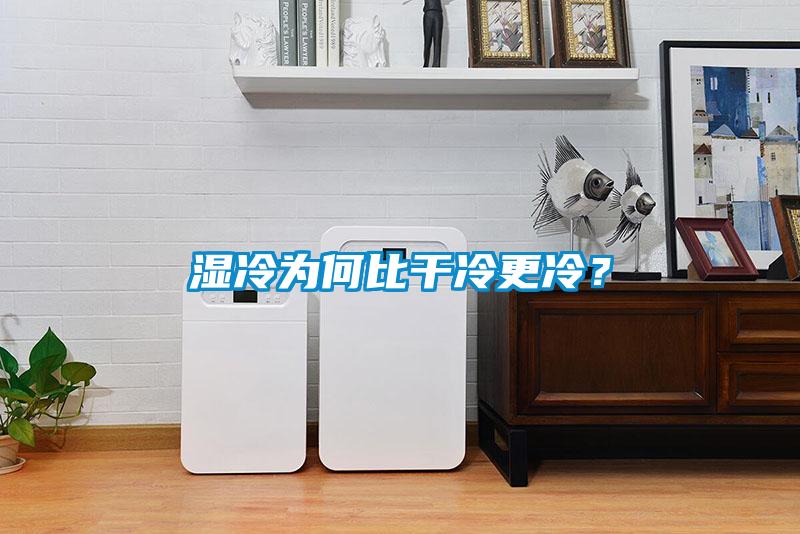 濕冷為何比干冷更冷？