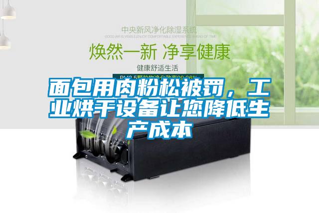 面包用肉粉松被罰，工業(yè)烘干設(shè)備讓您降低生產(chǎn)成本