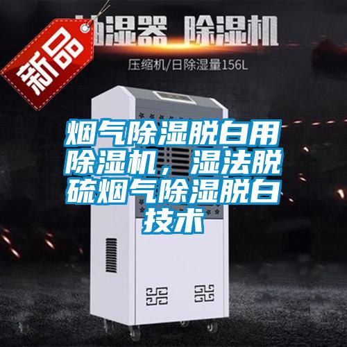 煙氣除濕脫白用除濕機，濕法脫硫煙氣除濕脫白技術(shù)