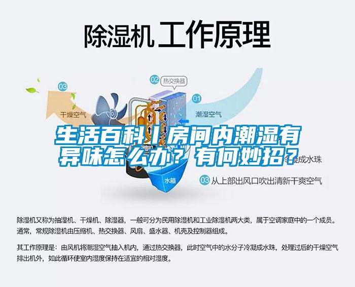 生活百科丨房間內(nèi)潮濕有異味怎么辦？有何妙招？