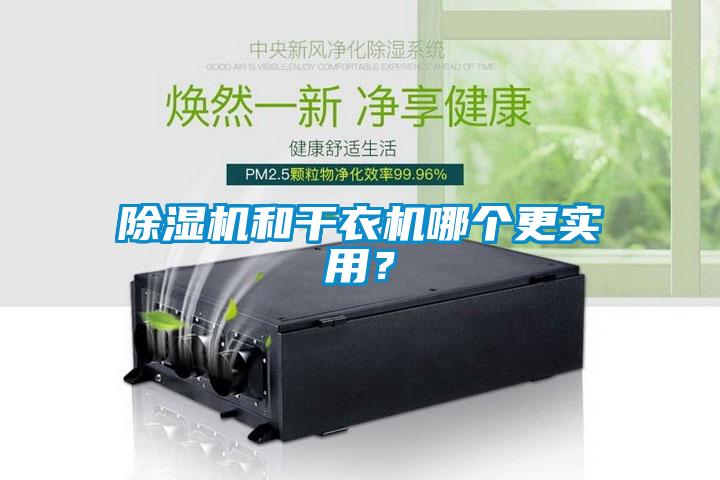 除濕機和干衣機哪個更實用？