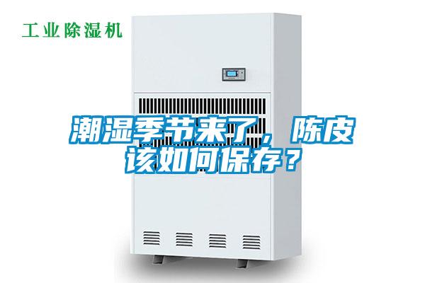 潮濕季節(jié)來了，陳皮該如何保存？