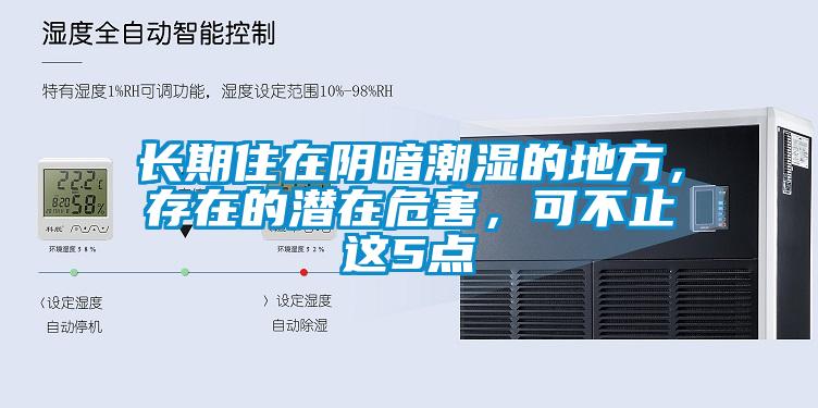 長期住在陰暗潮濕的地方，存在的潛在危害，可不止這5點