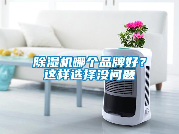 除濕機哪個品牌好？這樣選擇沒問題