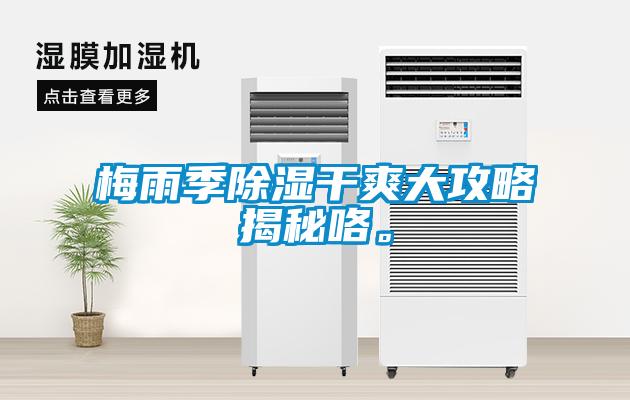 梅雨季除濕干爽大攻略揭秘咯。