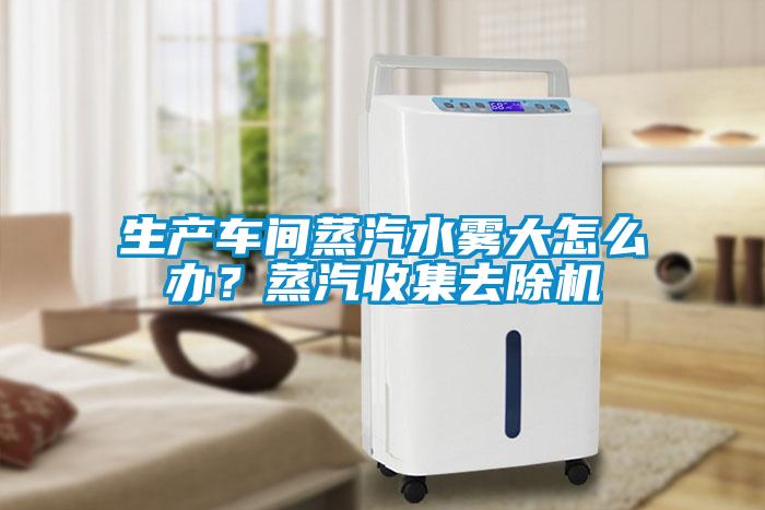 生產(chǎn)車(chē)間蒸汽水霧大怎么辦？蒸汽收集去除機(jī)