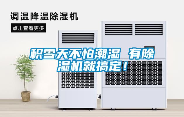 積雪天不怕潮濕 有除濕機就搞定！