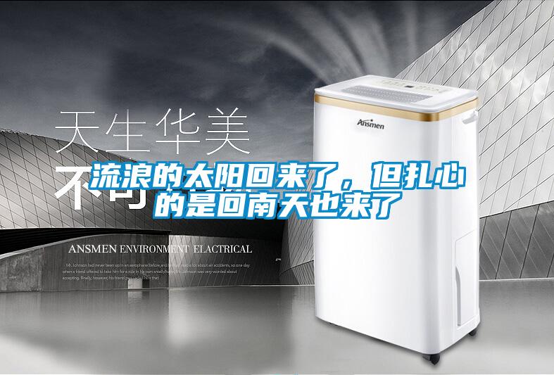流浪的太陽回來了，但扎心的是回南天也來了