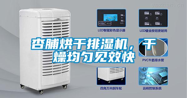杏脯烘干排濕機(jī)，干燥均勻見效快