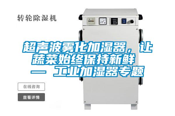 超聲波霧化加濕器，讓蔬菜始終保持新鮮 — 工業(yè)加濕器專題