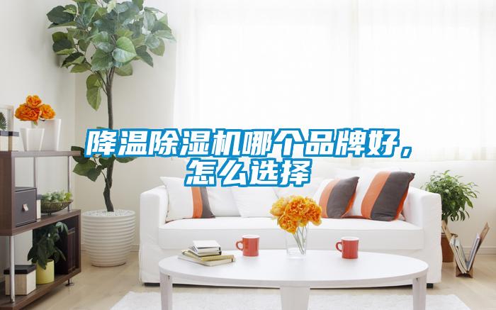降溫除濕機(jī)哪個(gè)品牌好，怎么選擇