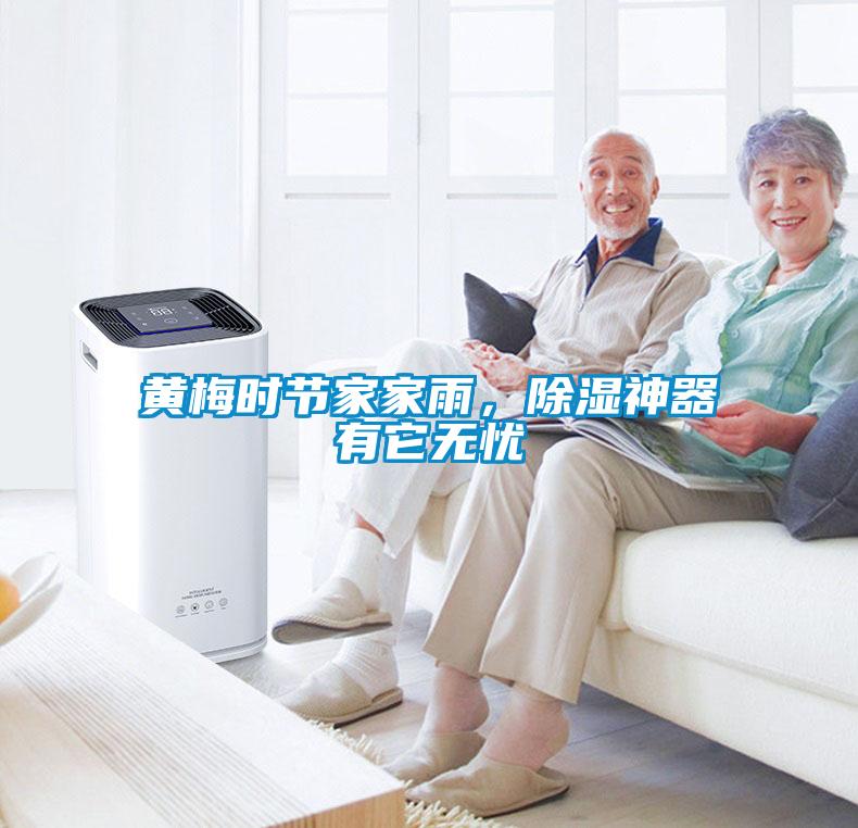 黃梅時(shí)節(jié)家家雨，除濕神器有它無(wú)憂
