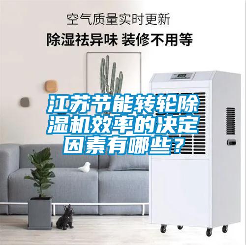江蘇節(jié)能轉(zhuǎn)輪除濕機(jī)效率的決定因素有哪些？