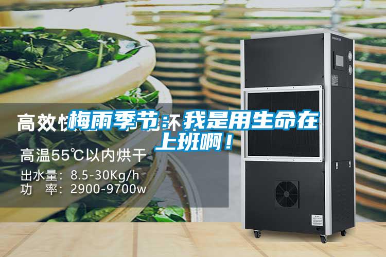 梅雨季節(jié)：我是用生命在上班??！