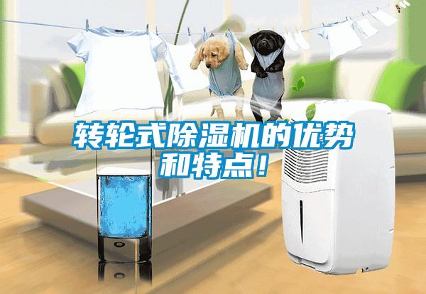 轉(zhuǎn)輪式除濕機(jī)的優(yōu)勢(shì)和特點(diǎn)！