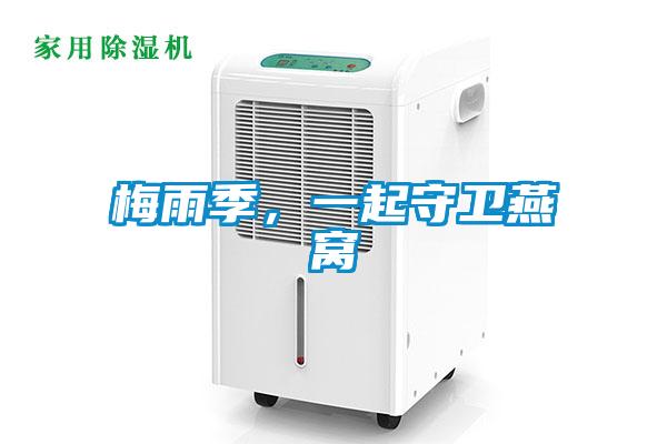 梅雨季，一起守衛(wèi)燕窩