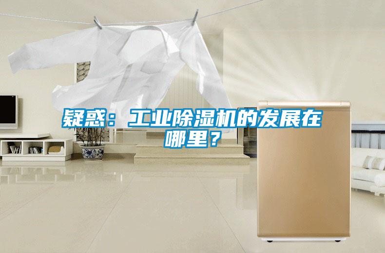 疑惑：工業(yè)除濕機(jī)的發(fā)展在哪里？