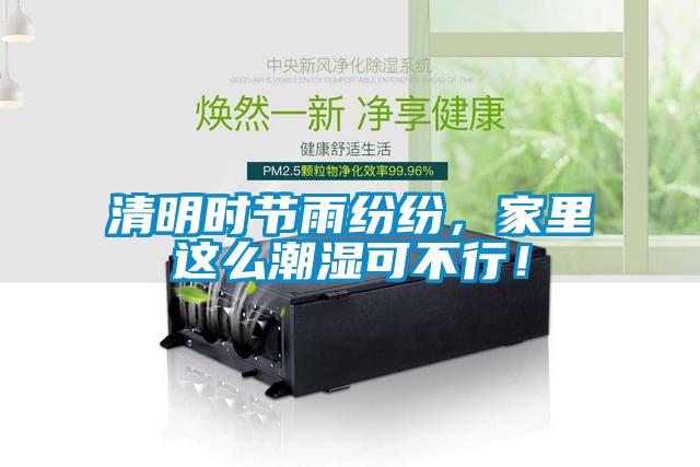 清明時節(jié)雨紛紛，家里這么潮濕可不行！