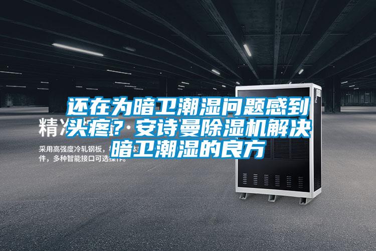 還在為暗衛(wèi)潮濕問題感到頭疼？安詩曼除濕機解決暗衛(wèi)潮濕的良方