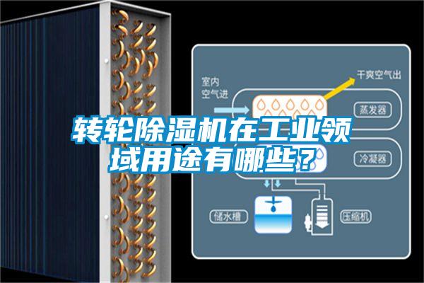 轉(zhuǎn)輪除濕機(jī)在工業(yè)領(lǐng)域用途有哪些？