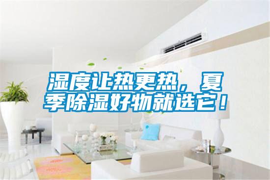 濕度讓熱更熱，夏季除濕好物就選它！