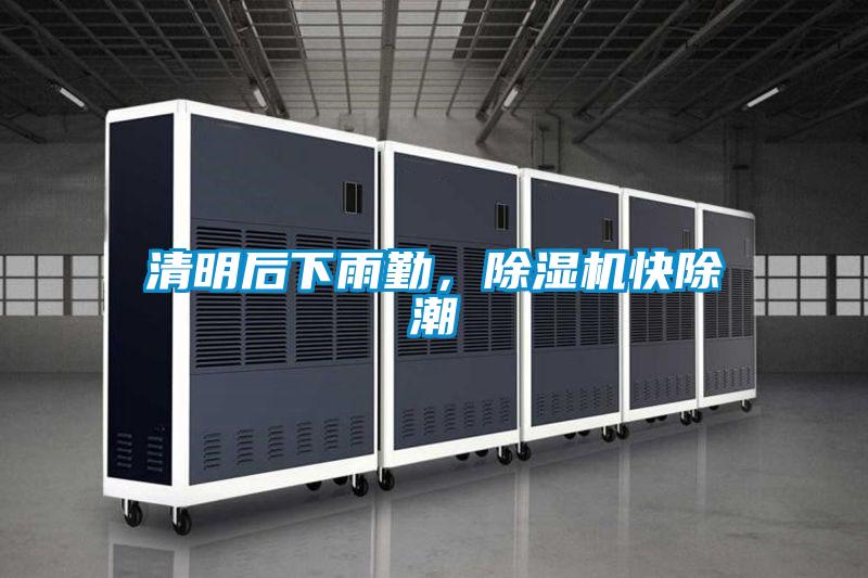 清明后下雨勤，除濕機快除潮