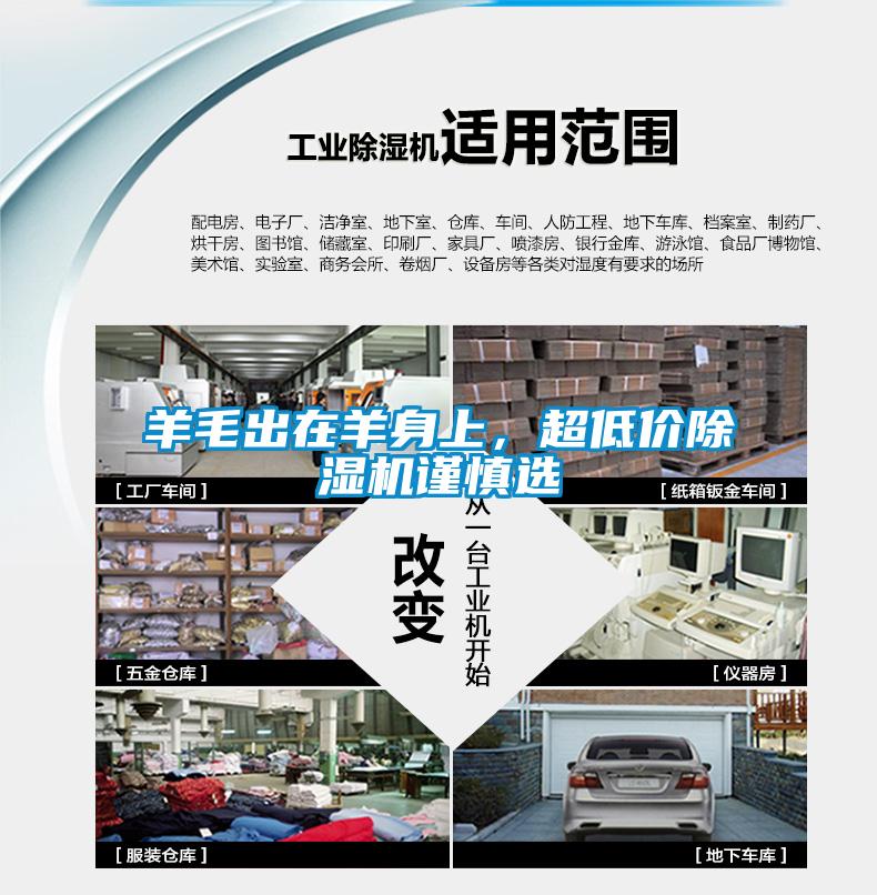 羊毛出在羊身上，超低價除濕機謹慎選