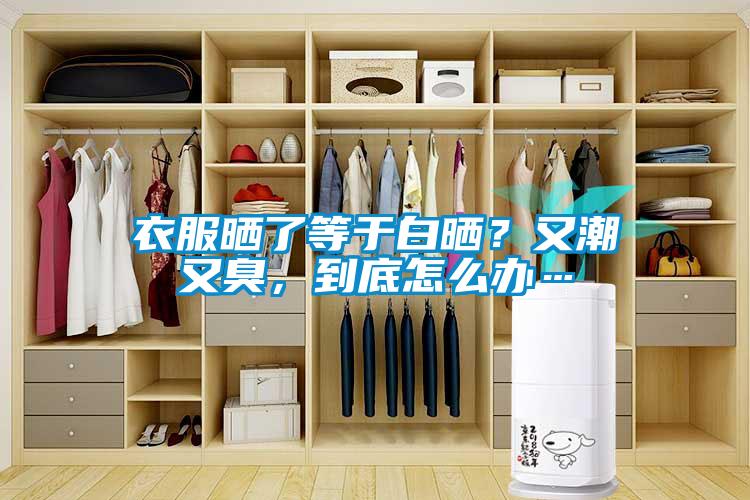 衣服曬了等于白曬？又潮又臭，到底怎么辦…