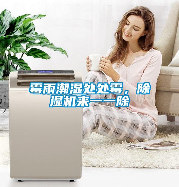 霉雨潮濕處處霉，除濕機來一一除