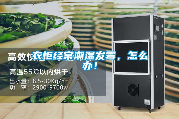 衣柜經(jīng)常潮濕發(fā)霉，怎么辦！