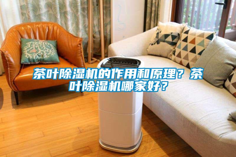 茶葉除濕機的作用和原理？茶葉除濕機哪家好？