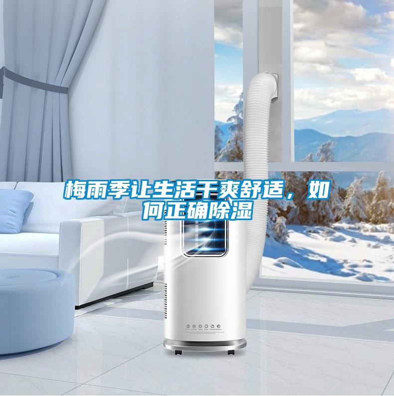 梅雨季讓生活干爽舒適，如何正確除濕