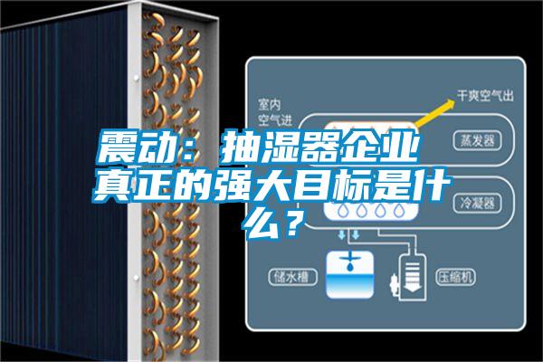 震動：抽濕器企業(yè) 真正的強大目標是什么？