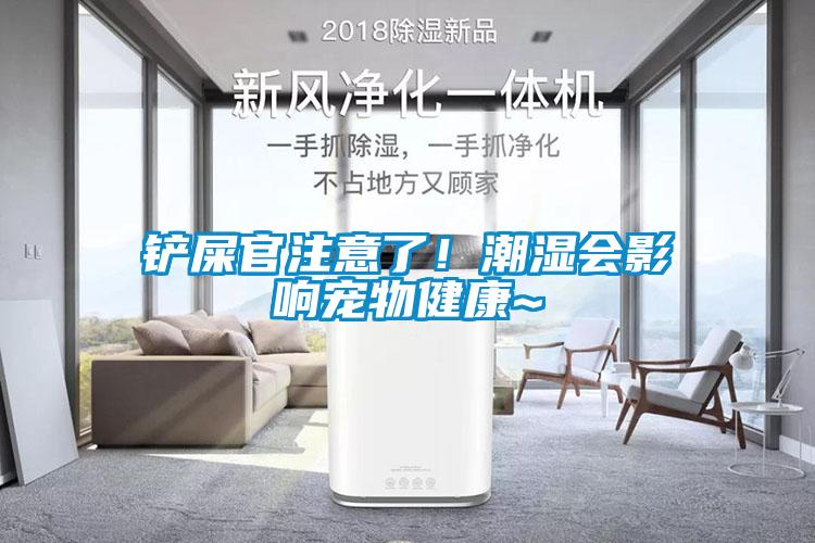 鏟屎官注意了！潮濕會(huì)影響寵物健康~