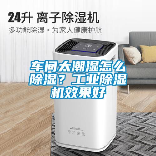 車間太潮濕怎么除濕？工業(yè)除濕機(jī)效果好